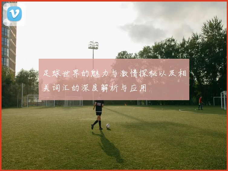 足球世界的魅力与激情探秘以及相关词汇的深度解析与应用