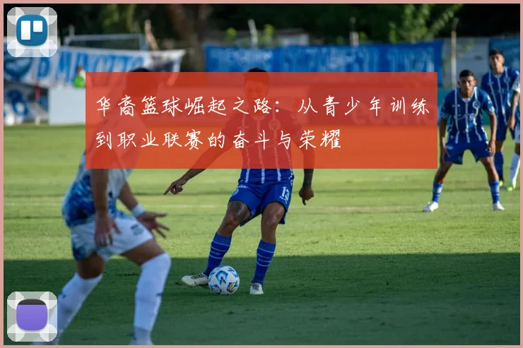 华裔篮球崛起之路：从青少年训练到职业联赛的奋斗与荣耀