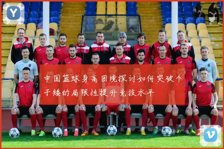 中国篮球身高困境探讨如何突破个子矮的局限性提升竞技水平