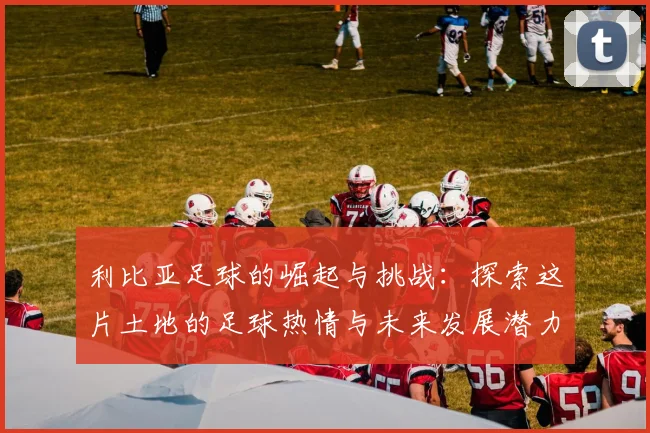 利比亚足球的崛起与挑战：探索这片土地的足球热情与未来发展潜力