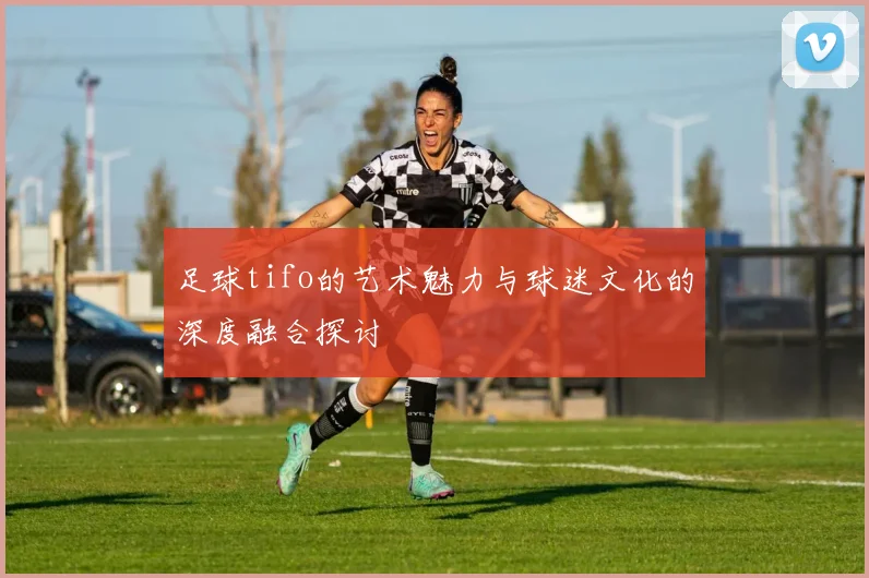 足球tifo的艺术魅力与球迷文化的深度融合探讨